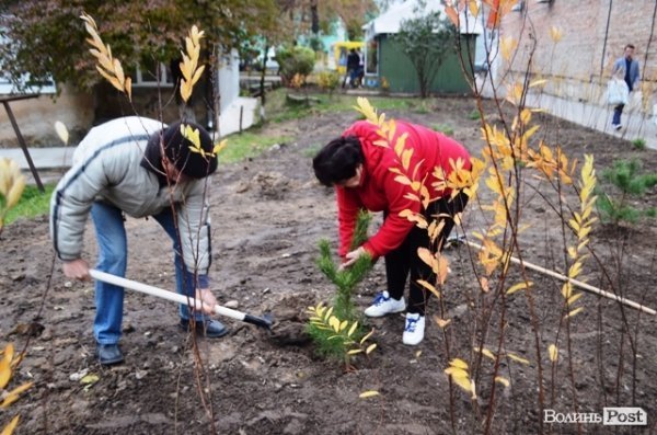 Як луцький депутат виконує свої обіцянки. ФОТО