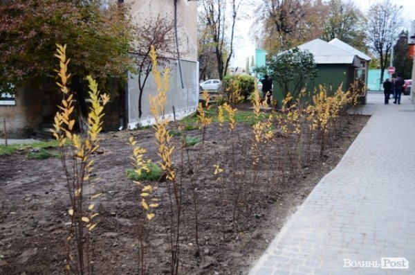 Як луцький депутат виконує свої обіцянки. ФОТО