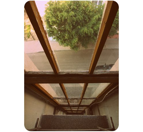 ТОП-9 неймовірно красивих вікон Луцька