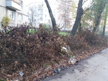 Луцьких комунальників просять прибрати за собою. ФОТО