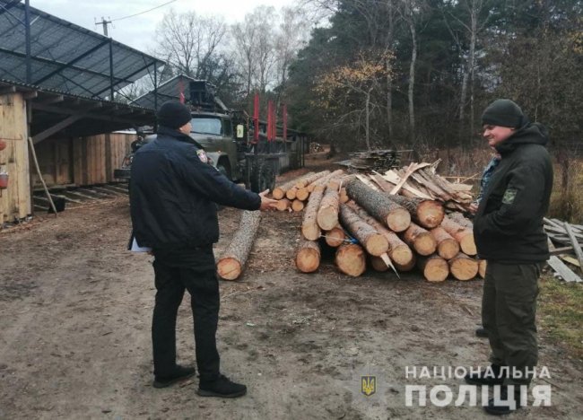 Поблизу волинської пилорами виявили незаконну деревину
