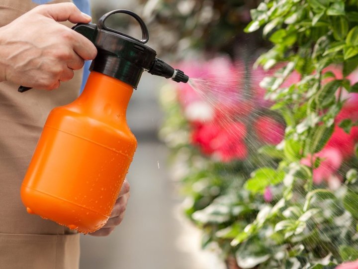 Що відносять до хімічних засобів захисту рослин?