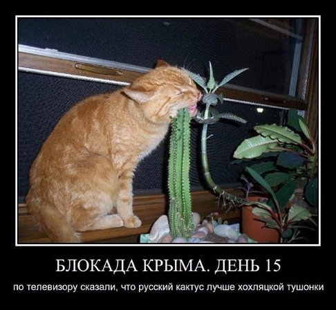 Реакція соцмереж на блокаду Криму. ФОТОЖАБИ