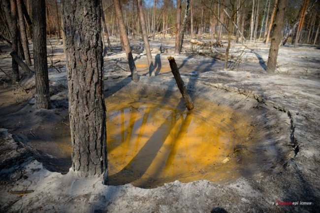 Фотограф показав космічні пейзажі бурштинових районів Рівненщини. ФОТО