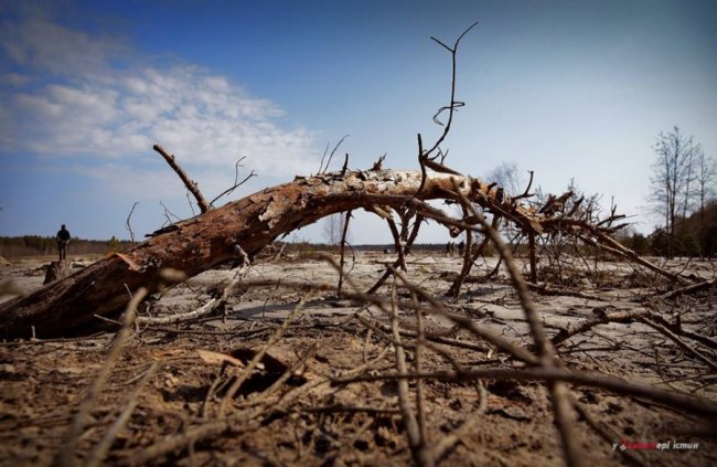 Фотограф показав космічні пейзажі бурштинових районів Рівненщини. ФОТО