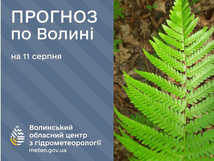 Якою буде погода у Луцьку та на Волині у понеділок, 11 серпня