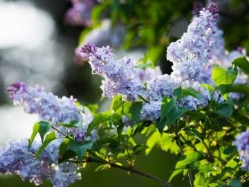 Погода у Луцьку на завтра, 5 травня