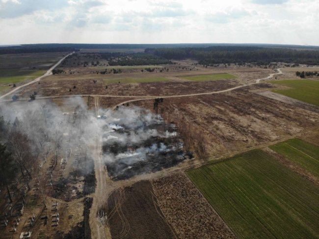 Волинянин, який палив суху траву, заплатить чималий штраф