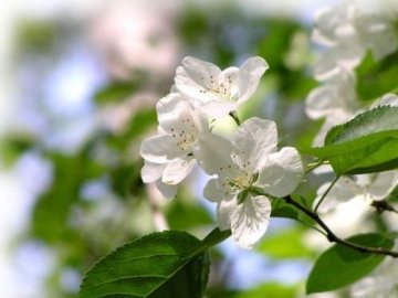 Погода у Луцьку та Волинській області на завтра, 14 травня