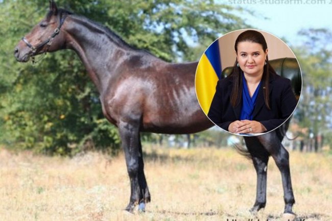 На яких авто їздять новообрані українські міністри. ФОТО