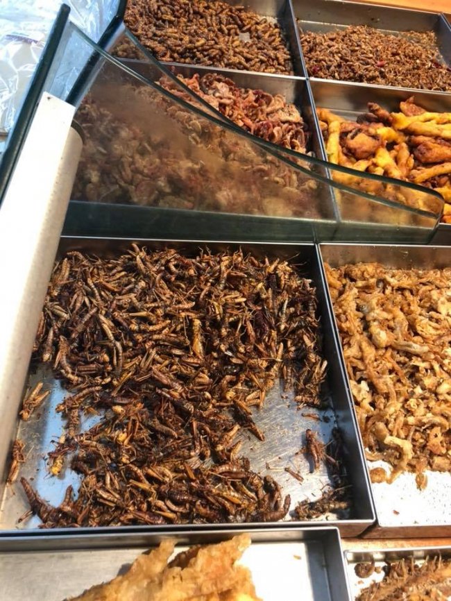 Жуки-хробаки. Кожен непоганий супермаркет в Азії повинен мати в асортименті живих жаб/смажених комах/столітні яйця. Жартую. Але в кожному жарті...