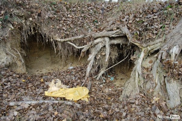 Парк у Луцьку: осіння краса і людська байдужість. ФОТО