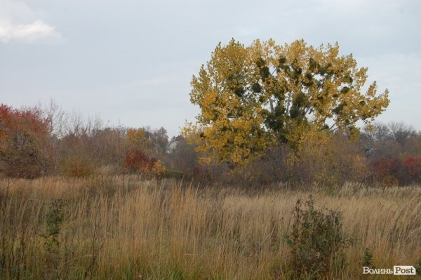 Парк у Луцьку: осіння краса і людська байдужість. ФОТО