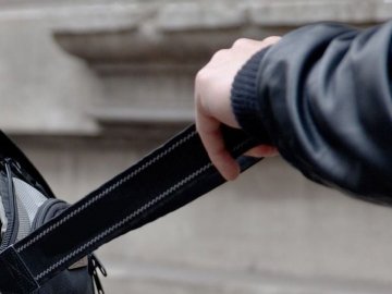 Волинянин на зупинці обікрав односельчанина, а потім хотів «відмазатися» хабарем від злочину 