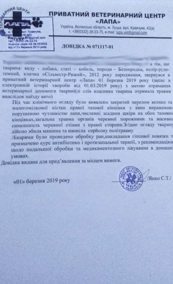 У соцмережі «прославили» юнака, який навмисно переїхав собаку на Волині. ФОТО, ВІДЕО