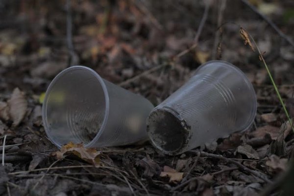 Як руйнується навколишня краса Волині. ФОТО. ВІДЕО