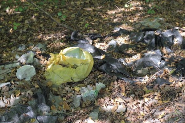 Як руйнується навколишня краса Волині. ФОТО. ВІДЕО