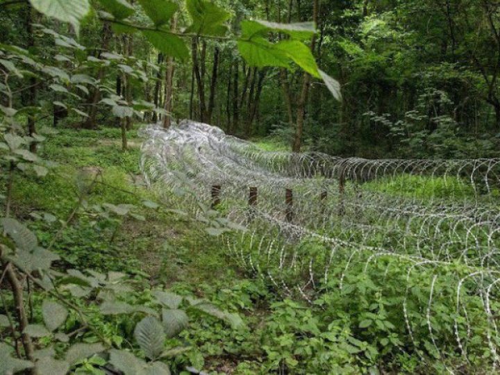 Просування російських військ у прикордонні Сумщини зупинили, - Сирський