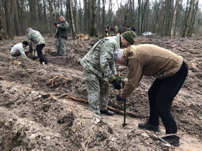 «Легені» міста: у Києві висадили майже півгектара лісу 