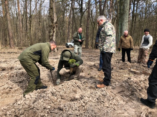 «Легені» міста: у Києві висадили майже півгектара лісу 