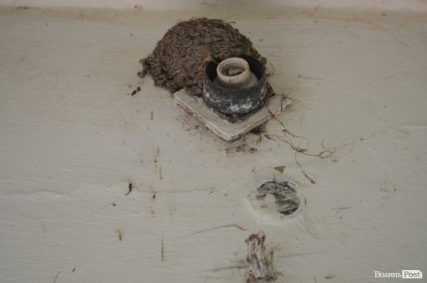 У Луцькому парку санітарна проблема: єдиний туалет нагадує кімнату жахів. ФОТО