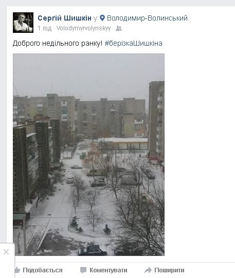 Сніговий Луцьк: враження соцмереж