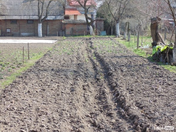 Гузь показав свій «маєток». ФОТО. ВІДЕО