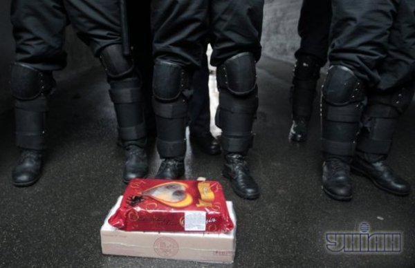 У Києві «розцвіли» щити міліціонерів. ФОТО