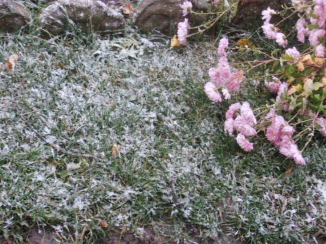 Мокрий і лапатий: на Волині - сніг. ФОТО