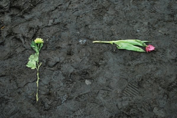 Майдан святкує. ФОТО