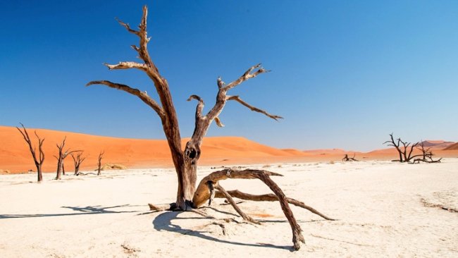 15 місць на Землі, які виглядають ніби краєвиди інших планет