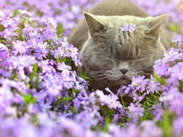 Погода у Луцьку на завтра, 21 квітня