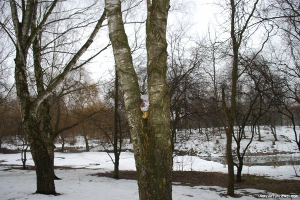 У парку 900-річчя Луцька ‒ лише один прибиральник. ФОТО