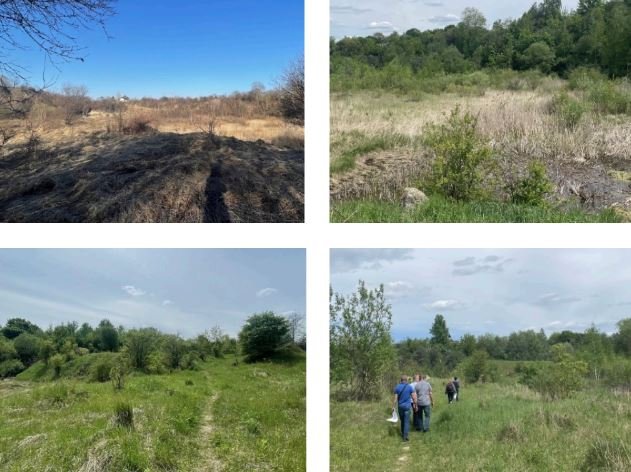 Територія до облаштування