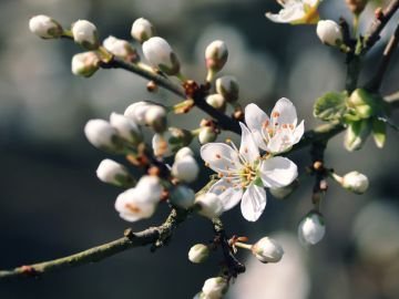 Погода у Луцьку та Волинській області на завтра, 28 квітня