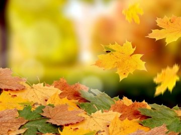 Погода у Луцьку та Волинській області на завтра, 8 листопада