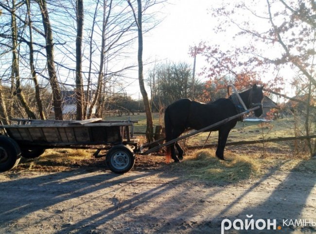 Волинська глибинка: лікуватися селяни ходять «через 3 мости»