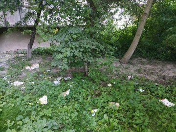 Лучанин викидав сміття на вулицю через вікно своєї квартири