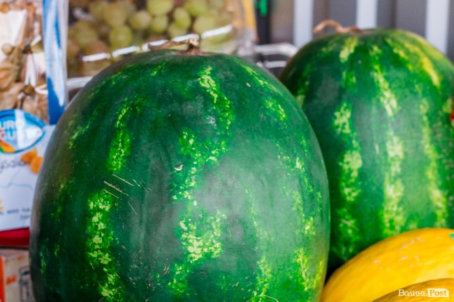 Від і до: скільки у Луцьку коштують кавуни і дині