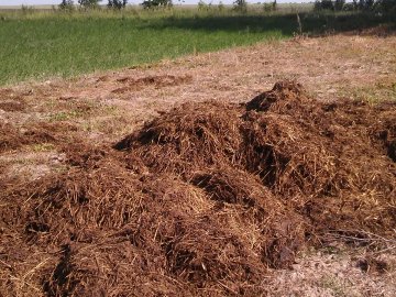 У селі на Волині чоловік викрав два причепи з гноєм