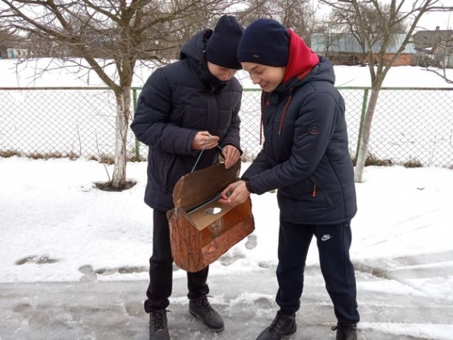 У дворі волинської школи з'явився «ресторанчик» для птахів. ФОТО