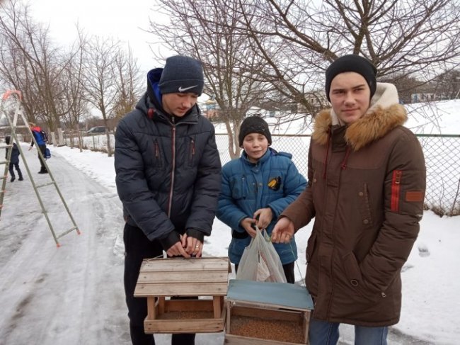 У дворі волинської школи з'явився «ресторанчик» для птахів. ФОТО