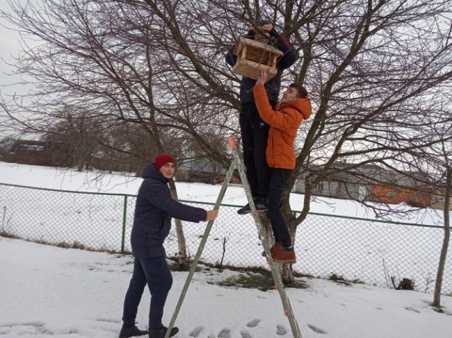 У дворі волинської школи з'явився «ресторанчик» для птахів. ФОТО
