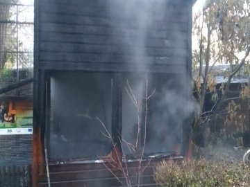 Після пожежі Луцькому зоопарку потрібна допомога