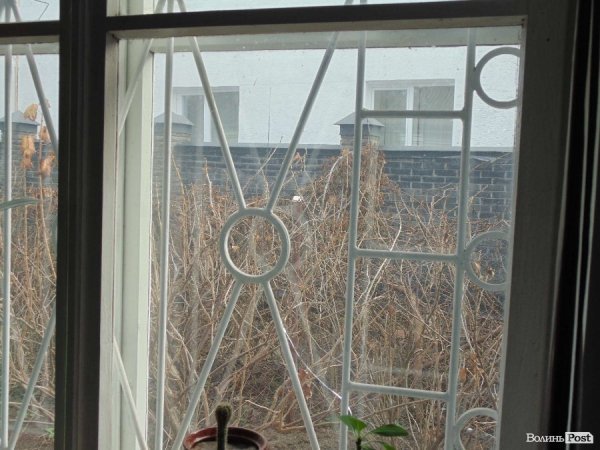 Любов Семенюк бідкається, що паркан суду збудувували прямо перед вікнами