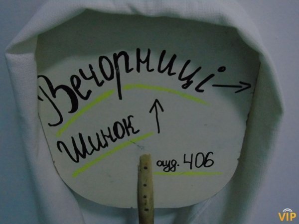 Луцькі студенти влаштували Андріївські вечорниці