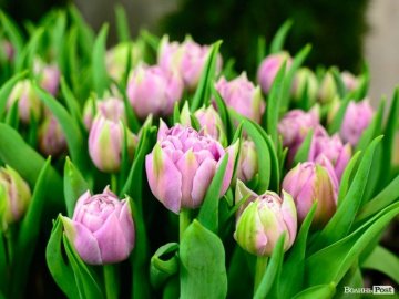 Куди піти у Луцьку на вихідних 29–30 травня. ПЕРЕЛІК ЗАХОДІВ