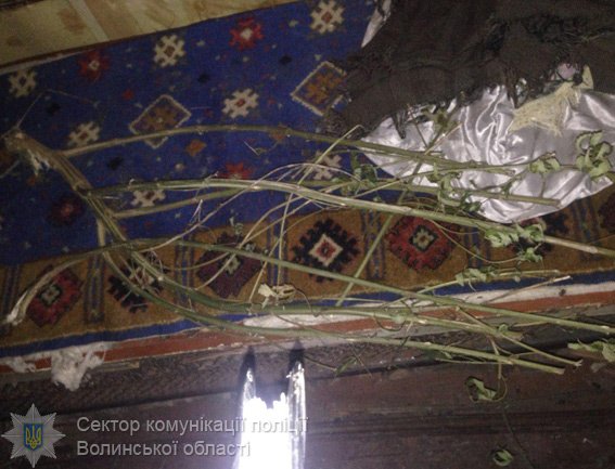 У волинянина в дачному будиночку знайшли наркотики