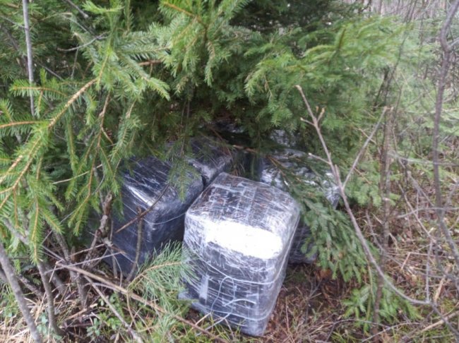 На Волині знайшли контрабандні медикаменти з Білорусі, які не встигли забрати зі сховку