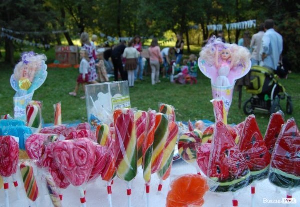 Дитяче екологічне містечко в Луцьку. ФОТО